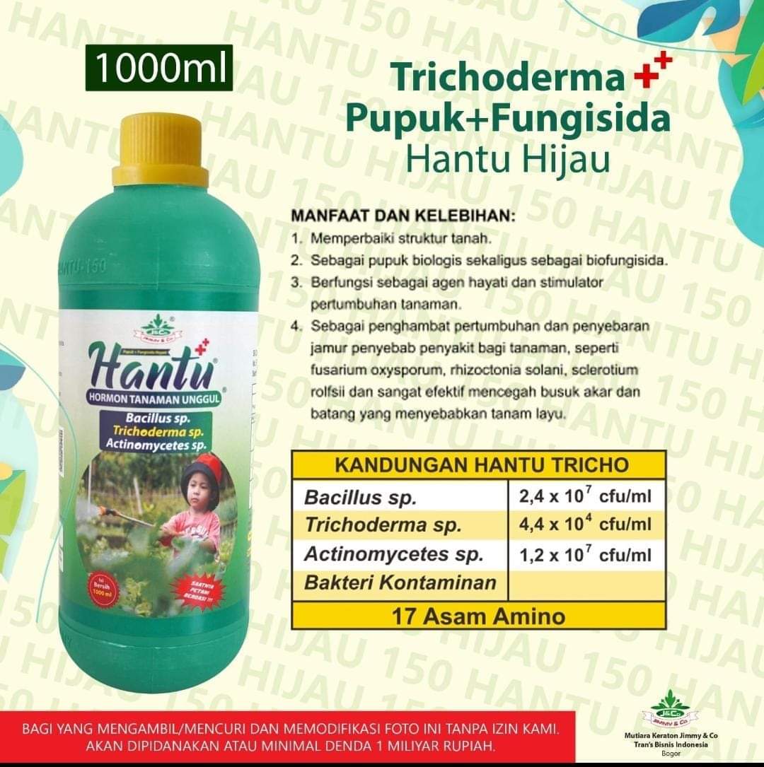 hantu trichoderma pupuk fungisida